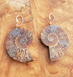 Extra Large Ammonite Ear Weights