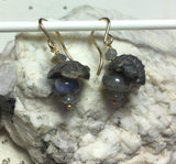 Perched Trilobite Fossil Earrings