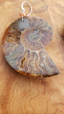 Extra Large Ammonite Ear Weights
