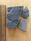 USA Cambrian Trilobite fossil lot in Matrix Medium  No. 004
