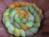 Woolpops First Turning Hand Dyed Roving