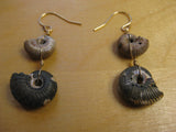 Pyrite Ammonite Earrings