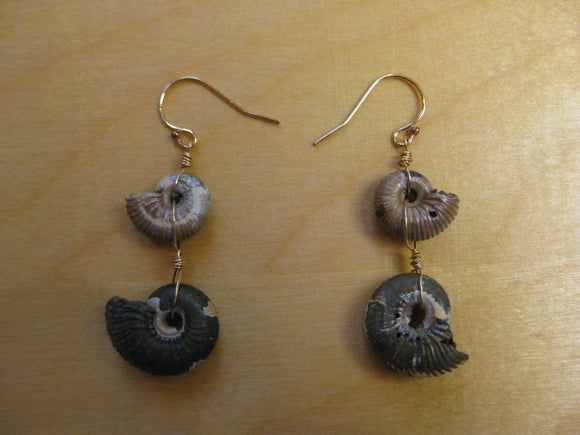Pyrite Ammonite Earrings