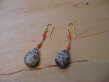 Insouciant Studios Yucatan Earrings Fossil Coral and Natural Coral