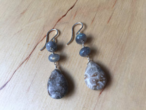 Greige Earrings Fossil Coral and Labradorite